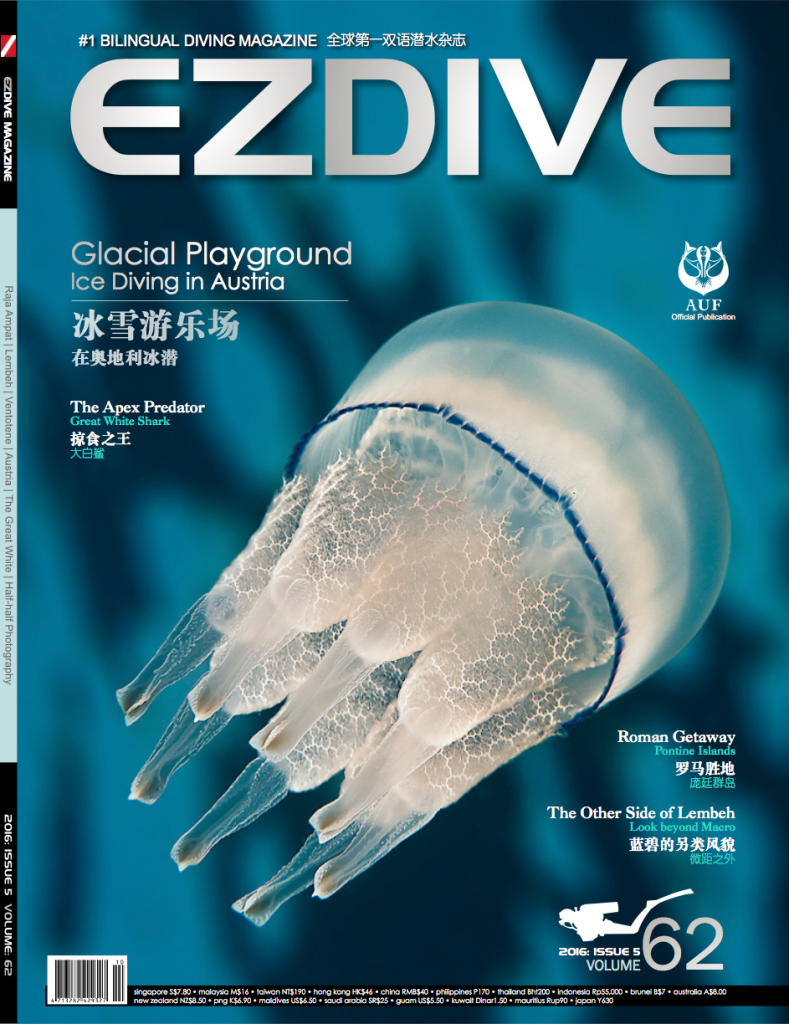 FROZEN JELLYFISH" Cover of EZDIVE 2016, issue 5 Volume 62