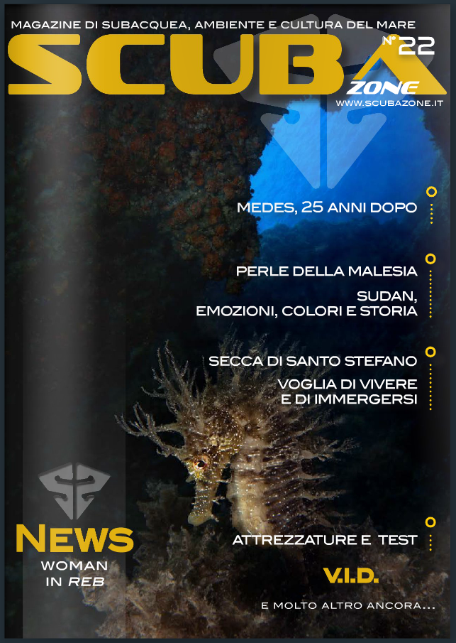 "Survivor" by Isabella Maffei is cover of the Scubazone 22 Magazine