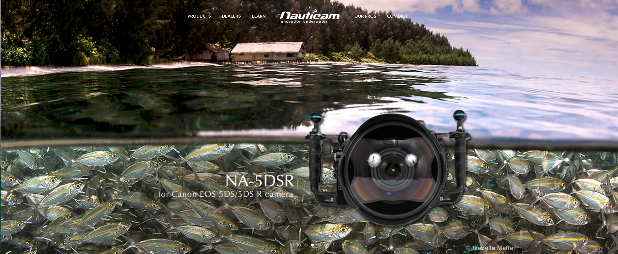 Isabella Maffei-Featured photographer on the official Nauticam website